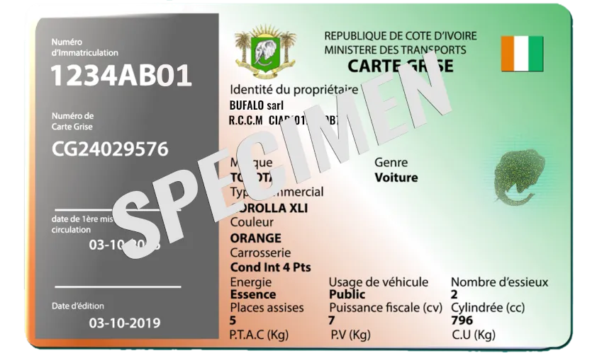 Specimen Carte Grise