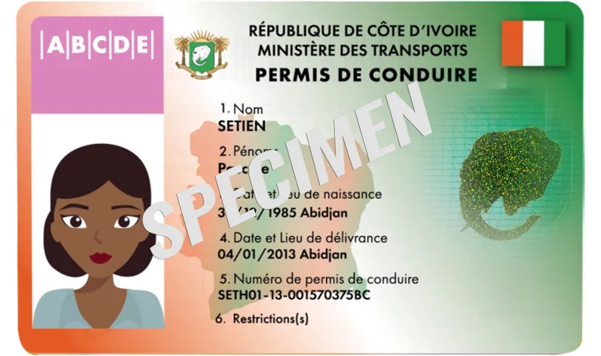 Specimen Permis de Conduire
